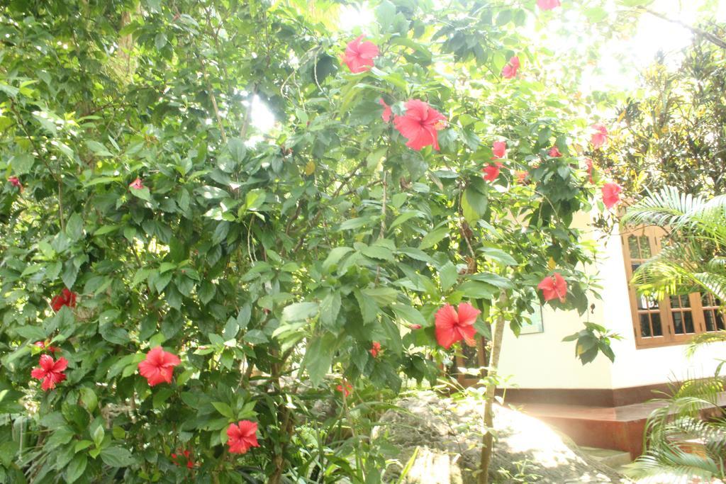 Dionis Villa أونا واتونا المظهر الخارجي الصورة