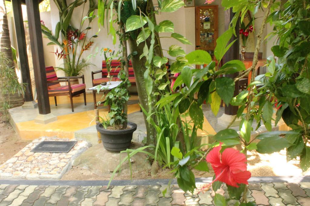 Dionis Villa أونا واتونا المظهر الخارجي الصورة