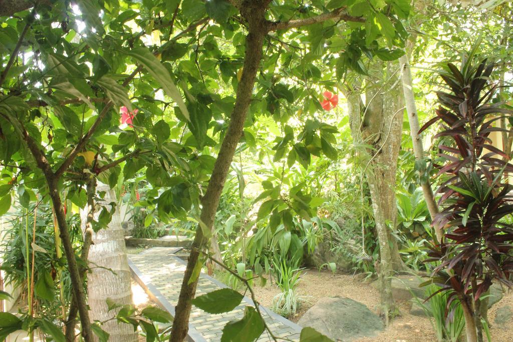 Dionis Villa أونا واتونا المظهر الخارجي الصورة
