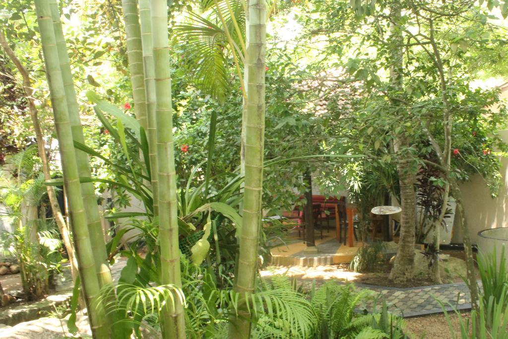 Dionis Villa أونا واتونا المظهر الخارجي الصورة